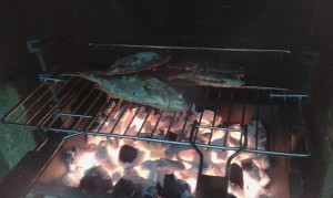 gardons_barbecue