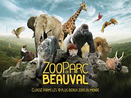 zoo_beauval